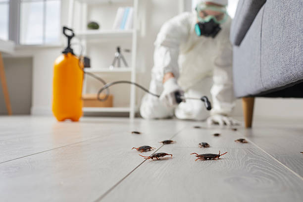 Trusted Rodent Control service in Veneta, OR - Nex Pest Control